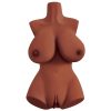 PDX PLUS+ PERFECT 10 TORSO - RJAV