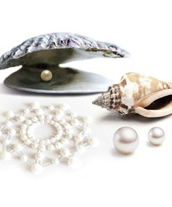 Alternative view of BIJOUX INDISCRETS MIMI PEARL