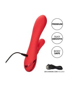 Alternative view of CALEX PALISADES PASSION RED