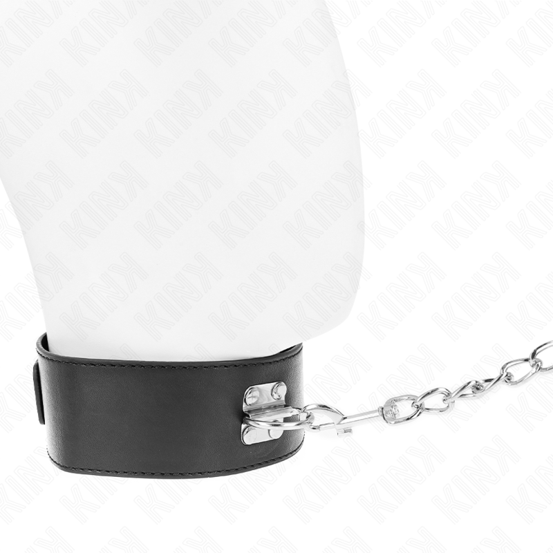 KINK - BASIC MODEL COLLAR WITH LEASH 65 CM MODEL 0 - slika 3