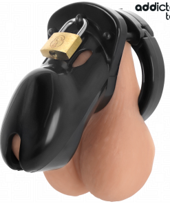 ADDICTED TOYS LOCKED - FORBIDDEN VAULT PENIS CAGE 10 CM - slika 3