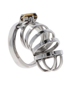 HIDDEN DESIRE - EXTREME CHASTITY COCK CAGE METAL