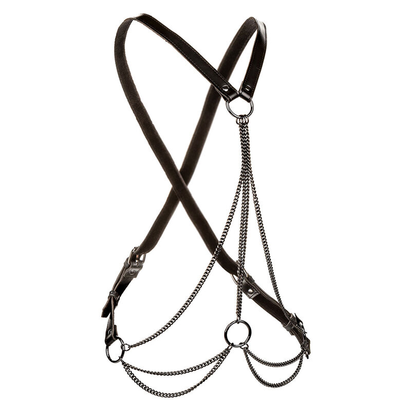 CALEXOTICS - EUPHORIA MULTICHAIN HARNESS PREMIUM PLUS SIZE - slika 2