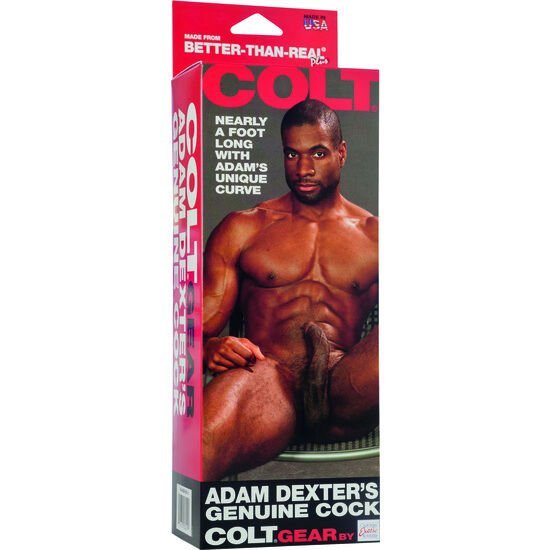 COLT ADAM DEXTER PENIS - slika 2